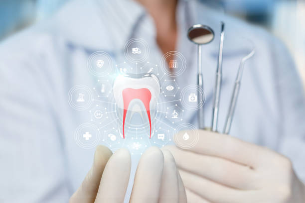 Professional Dental Services in Springdale, MD